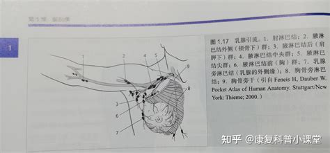 乳腺癌根治术后淋巴水肿的康复 知乎