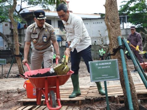 Penataan Kawasan Pj Gubernur Dki Tanam Pohon Di Taman Tegal Alur