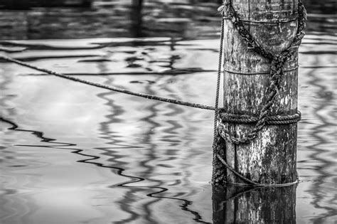Pole Lines Wood Free Photo On Pixabay Pixabay