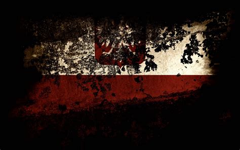 Top 999+ Poland Flag Wallpaper Full HD, 4K Free to Use