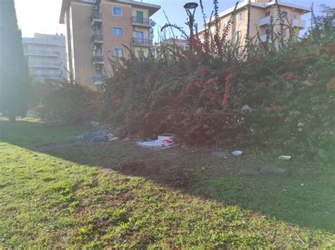 Parchetto Aldo Moro A Termoli Rieco Ripulisce Area Rifiuti Lasciati