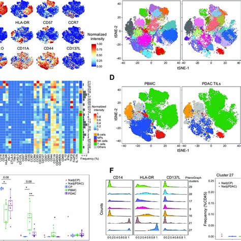 Characterization Of Infiltrating T Cells In The Pdac Tme A Tsne Plots