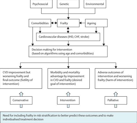 Frailty Assessment In Elderly People The Lancet