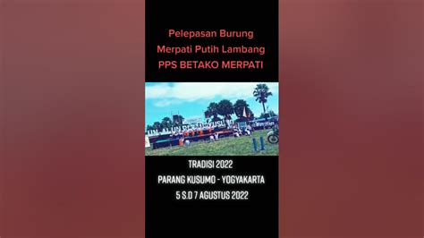 Pelepasan Burung Merpati Putih Lambang Pps Betako Merpati Shorts