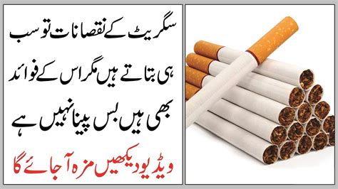 Cigarette K Faide Benefits Of Cigarette In Urdu Hindi سگریٹ کے