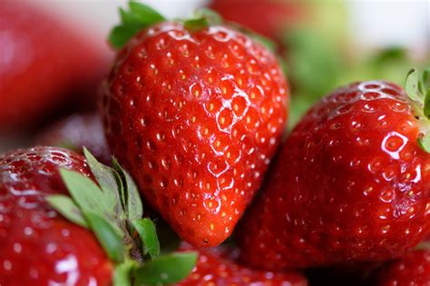 Variedades De Fresas Los Cuatro Tipos Más Comunes