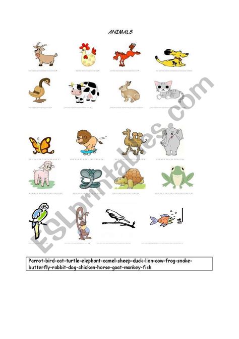 Animals Matching Esl Worksheet By Hulyaaa22