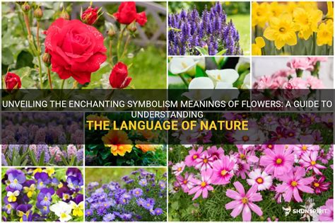 Unveiling The Enchanting Symbolism Meanings Of Flowers: A Guide To ...