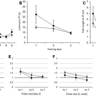 The effect of IL 1β during the WM spatial memory task in adult mice