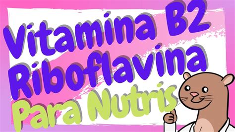 Qu Es La Riboflavina Vitamina B En Nutrici N Youtube