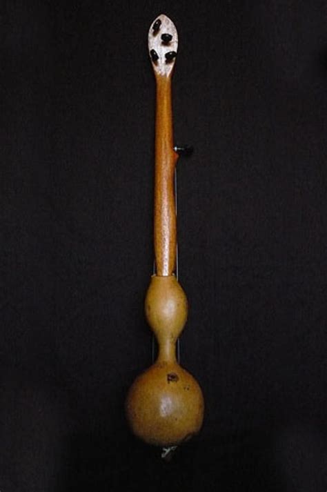 Banjos Gourd Banjo 02