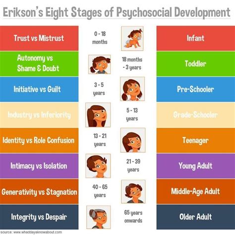 Psychosocial development | Stages of psychosocial development ...