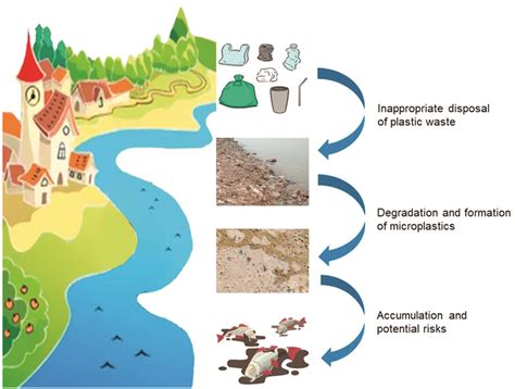 Understanding Plastic Degradation And Microplastic Formation In The Environment A Review