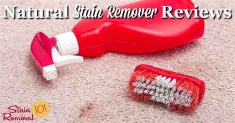 Natural Stain Remover Reviews: Which Ones Work Best?