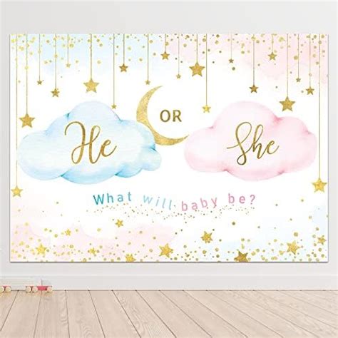 Amazon Ablin X Ft Bear Gender Reveal Backdrop What Will Baby Be