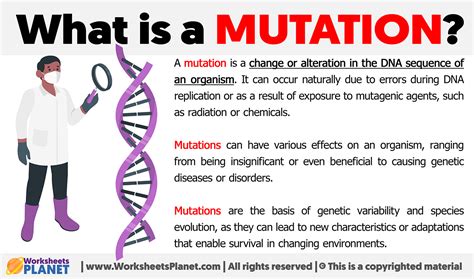 What Is A Mutation Definition Of Mutation