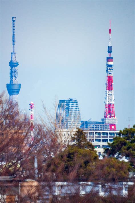 東京タワーと東京スカイツリーを同時にかつ同じ高さで撮る もろいことない