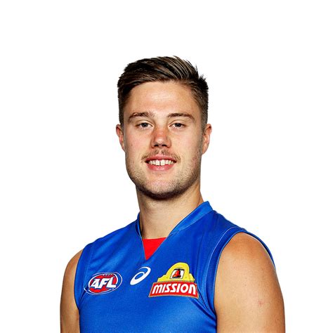 Western Bulldogs Players - Flag-winning Lions the pride of 2021 ...