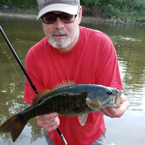 Fishing Reports Best Baits And Forecast For Fishing In Big Walnut Creek