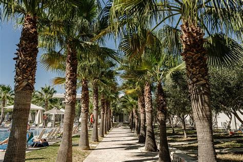 CARETTA ISLAND HOTEL - Prices & Resort (All-Inclusive) Reviews ...