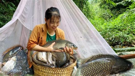 How To Make A Fish Trap In The Floating Season Harvest Many Types Of