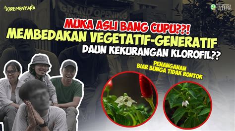 Mencegah Bunga Rontok Perbedaan Vegetatif Generatif Dan Nutrisinya