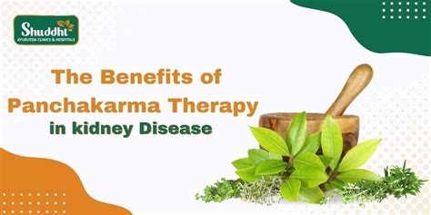 The Benefits of Panchakarma Therapy in Kidney Disease