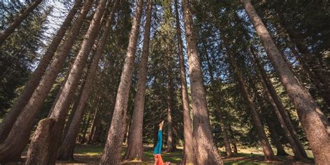 Borgo Salute Dolomiti Natural Wellness Vom Pinzolo Bis Caderzone Terme