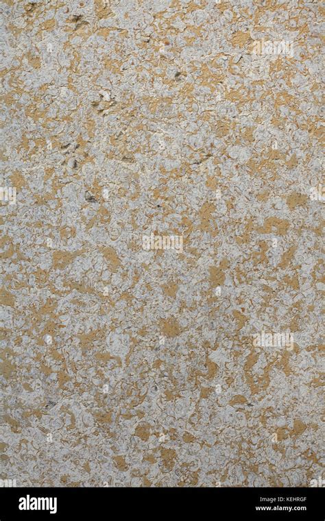 Limestone Wall Texture Hi Res Stock Photography And Images Alamy