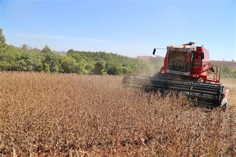 Copacol Portal Do Agronegócio Agricultura Vive Período De Colheita Da Soja E Semeadura Do