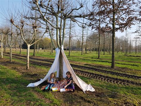 Van Den Berk Boomkwekerijen Bomen Voor Speelpleinen Architectenweb Nl