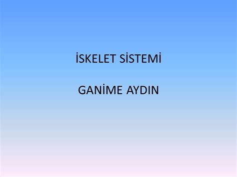 İSKELET SİSTEMİ GANİME AYDIN İNSANDA DESTEK VE HAREKET İskeletin