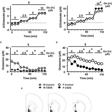 Immunoreactivity Of Gfap Expressing Astrocytes And Expression Of Gfap