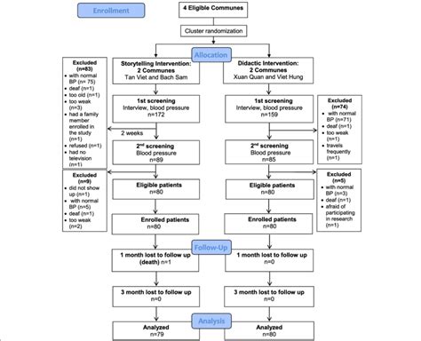 Consort Flow Diagram For The Feasibility Cluster Randomized Controlled