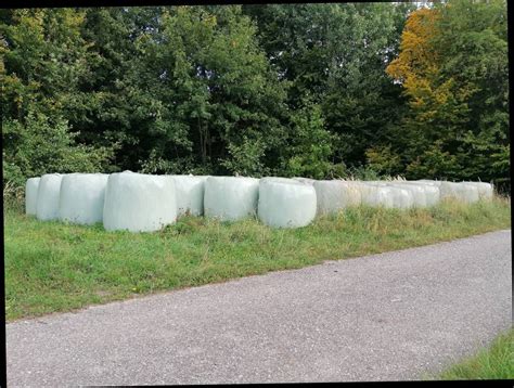 Silageballen Grassilageballen Kaufen Landwirt