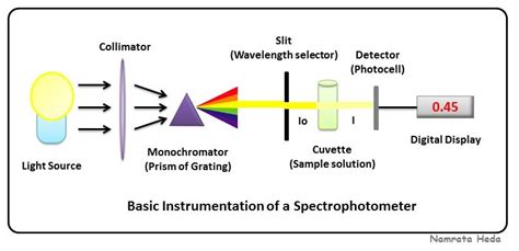 B For Biology Spectrophotometry Principles