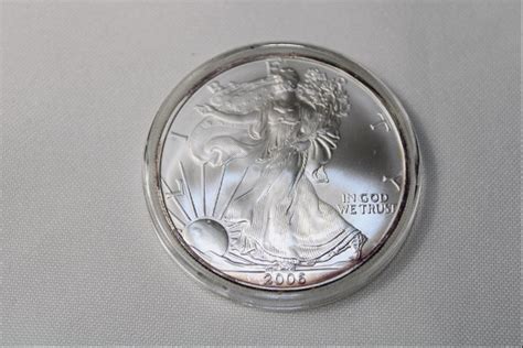 2006 Walking Liberty Silver Dollar