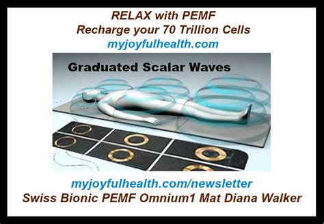 Pemf Pulsed Electro Magnetic Field Therapy