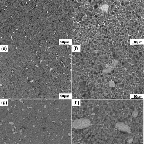 Low Magnification A C E G And I And High Magnification SEM Images