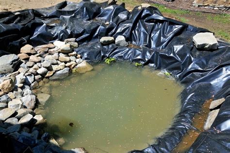 Preformed Ponds Vs Pond Liners Which Is Best Garden Tips