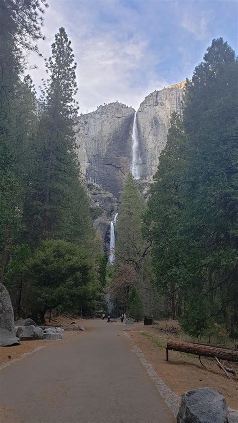 Yosemite falls : Yosemite