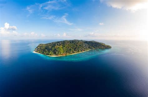 Mare Di Caraibi Tropicale Della Scogliera Dell Isola Della Spiaggia Di