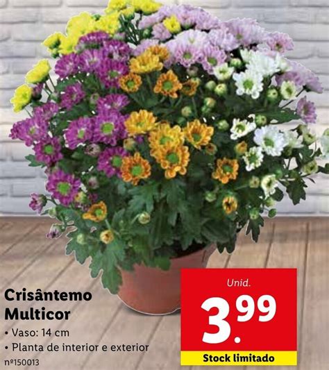 Promo O Cris Ntemo Multicor Cm Em Lidl