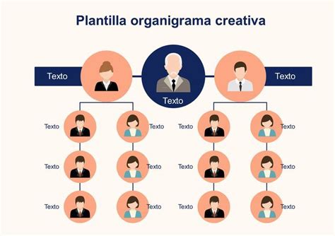 plantillas para organigramas gratuitas | Organigrama, Organigrama de ...