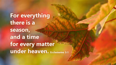 The Daily Lectionary June 8 2016 North American Lutheran Church