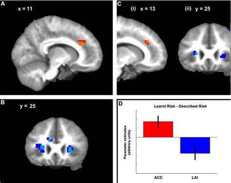 Figure From Differentiable Neural Substrates For Learned And