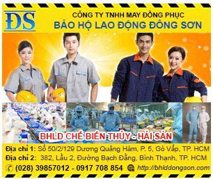 CÔNG TY TNHH MAY ĐỒNG PHỤC BẢO HỘ LAO ĐỘNG ĐÔNG SƠN Laos Baseball