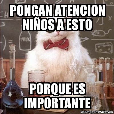 Meme Chemistry Cat Pongan Atencion Ni Os A Esto Porque Es Importante