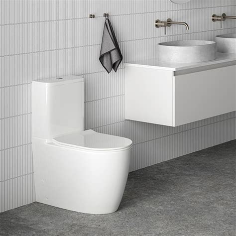 What Is A Rimless Toilet And Which Are The Best