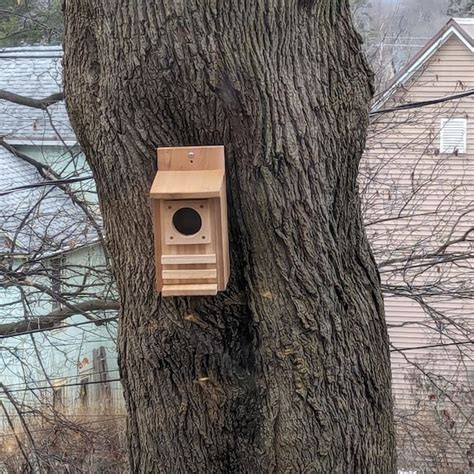 Squirrel Box, Squirrel House, Nesting Box, Large Squirrel House ...